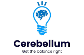 Cerebellum Academy Prof Plan 3000 Rupees DiscountÂ