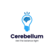 Cerebellum Academy